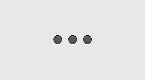 PRESTERA_MP_Classic_English_2