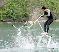 waterbird