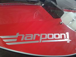Harpoon 1: Tunnel Cat with aux. Kite System