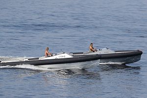 RIB 9300