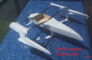 WOLF concept model