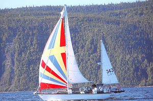 tartan 34c yawl