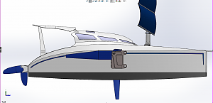 Junk rigged cat