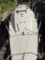 IMG_3258.jpeg