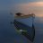 Tomsboatshed