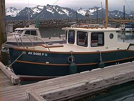 22' devlin surf scooter